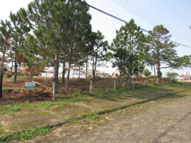 United States, ,Terreno,Venda,2286