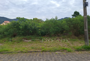 United States, ,Terreno,Venda,2300