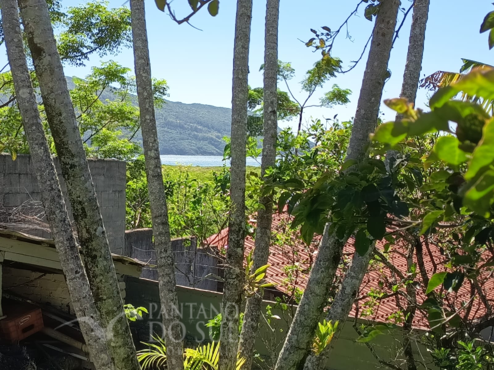 United States, 3 Bedrooms Bedrooms, ,3 BathroomsBathrooms,Casa,Venda,2384