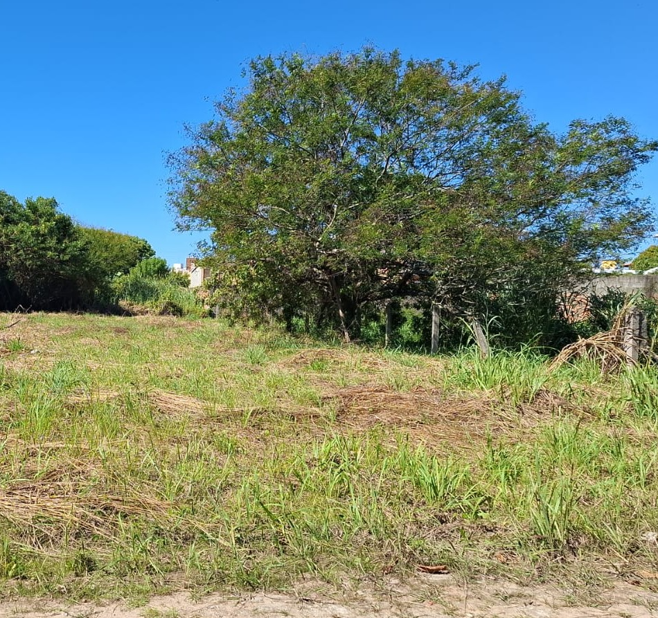 United States, ,Terreno,Venda,2456