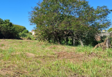 United States, ,Terreno,Venda,2456