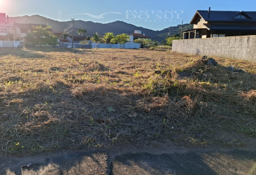 United States, ,Terreno,Venda,2473